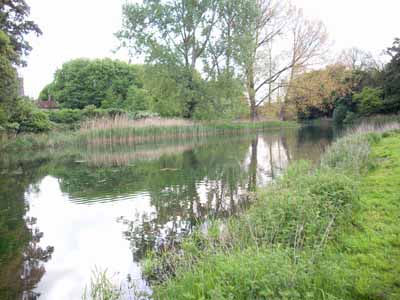 First image of the backwater