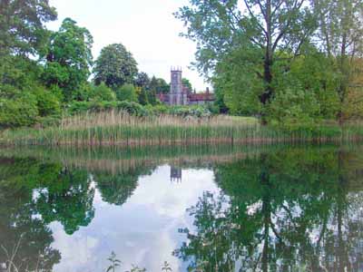 First image of the backwater