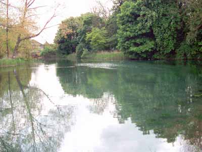 First image of the backwater