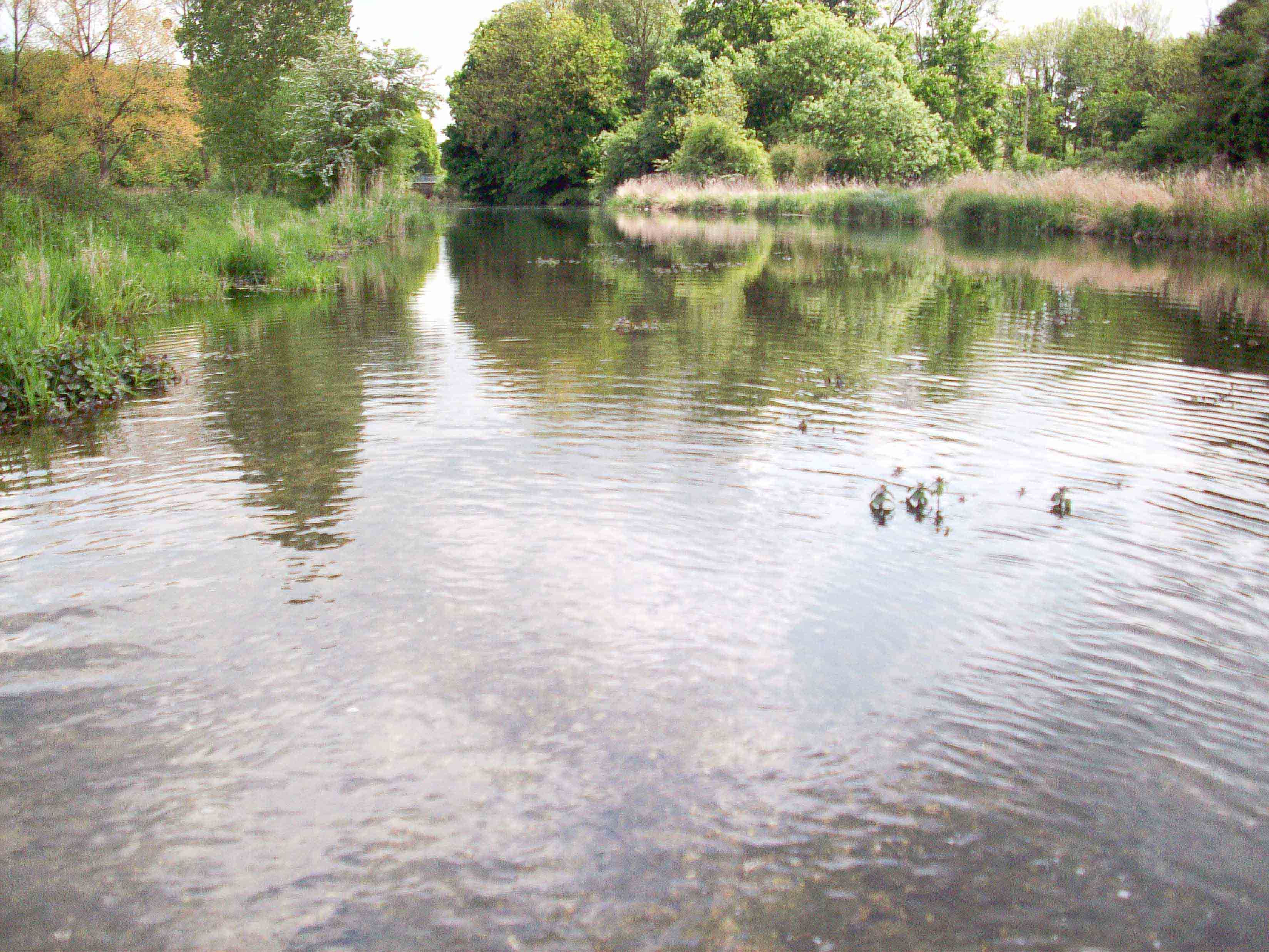 First image of the backwater