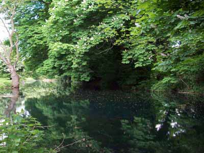 First image of the backwater
