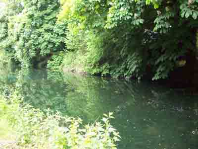 First image of the backwater